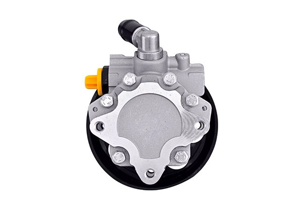 Hydraulic Pump, steering (8TL 359 003-181)