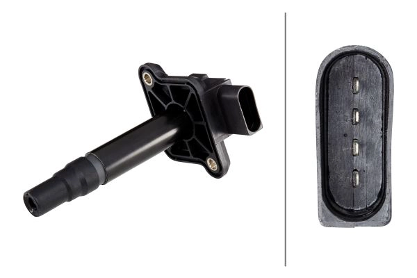 Ignition Coil (5DA 193 175-981)