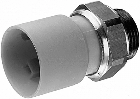 Temperature Switch, radiator fan (6ZT 007 808-031)