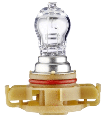 Bulb, front fog light