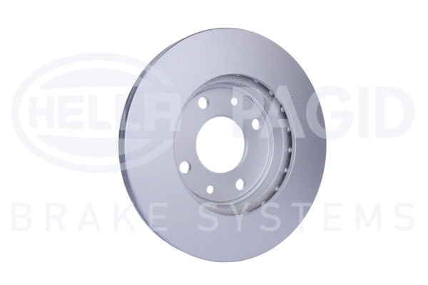 Brake Disc (8DD 355 101-261)