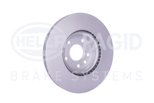 Brake Disc (8DD 355 129-161)