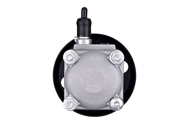 Hydraulic Pump, steering (8TL 359 003-121)
