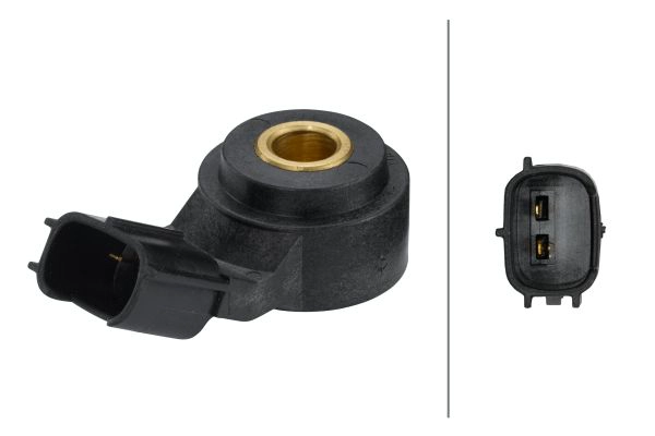 Knock Sensor (6PG 009 108-981)