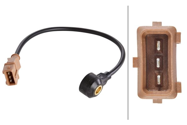 Knock Sensor (6PG 009 108-541)