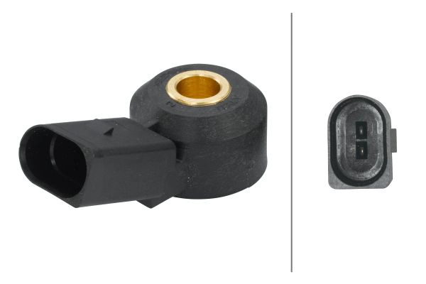 Knock Sensor (6PG 009 108-561)