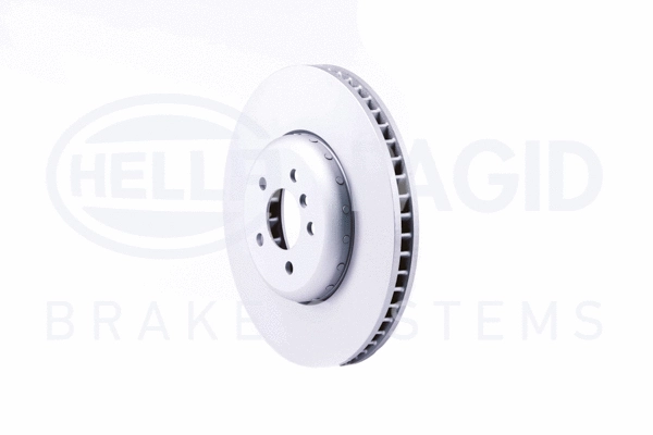 Brake Disc (8DD 355 120-691)