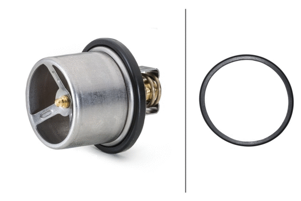 Thermostat, coolant (8MT 358 083-061)