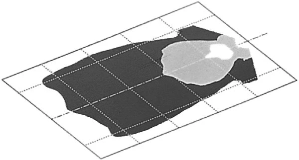 Worklight (1GB 006 213-111)