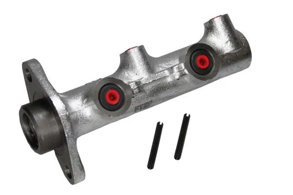 Brake Master Cylinder (8AM 355 502-381)