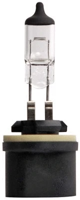 Bulb, front fog light (8GH 008 991-021)