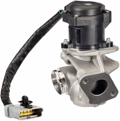 EGR Valve (6NU 010 171-131)