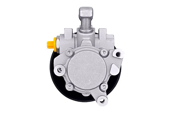 Hydraulic Pump, steering (8TL 359 003-091)