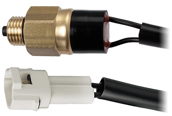 Switch, reverse light (6ZF 010 965-071)