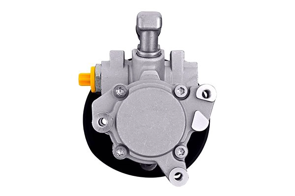 Hydraulic Pump, steering (8TL 359 003-161)