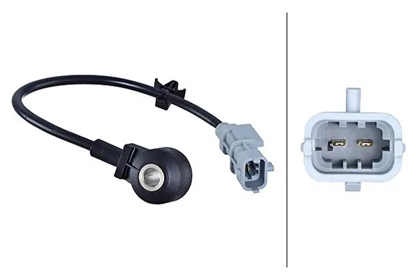 Knock Sensor (6PG 013 114-381)