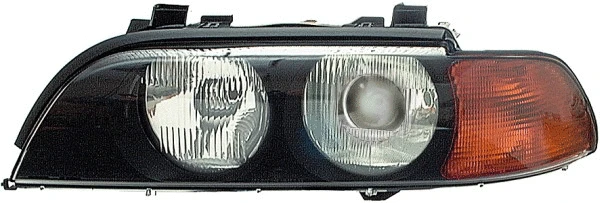 Headlight (1EL 007 410-111)