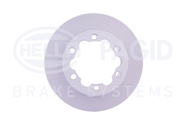 Brake Disc (8DD 355 129-411)