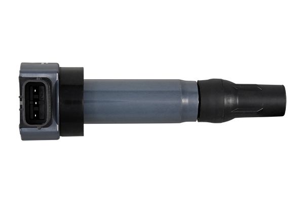 Ignition Coil (5DA 358 168-871)