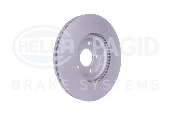 Brake Disc (8DD 355 123-161)