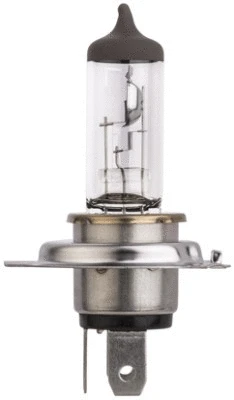 Bulb, spotlight (8GJ 329 393-043)