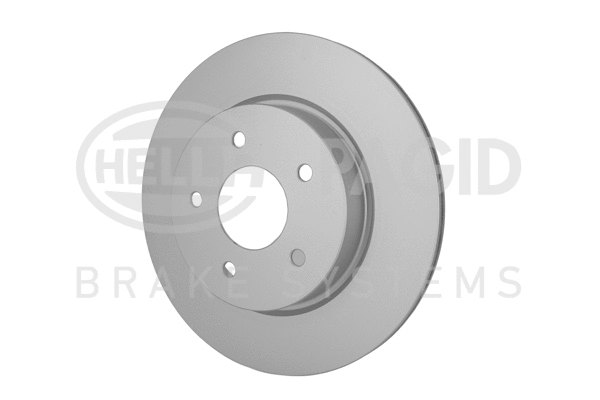 Brake Disc (8DD 355 123-061)