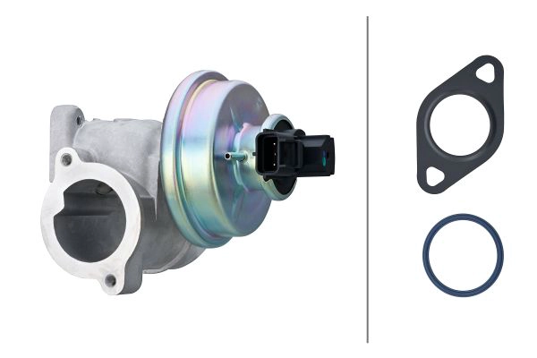 EGR Valve (6NU 014 865-581)