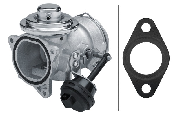 EGR Valve (6NU 014 864-511)
