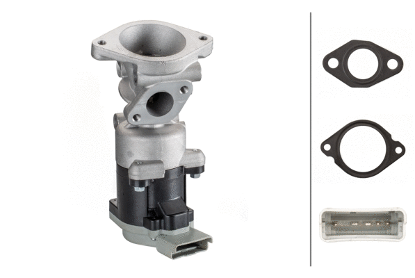 EGR Valve (6NU 010 171-821)