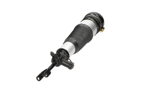 Air Suspension Strut (SAS-10015)