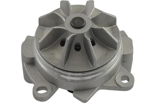 Water Pump, engine cooling (NW-3283)