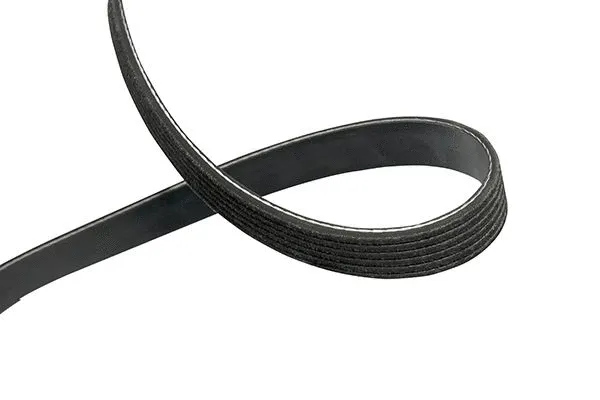 V-Ribbed Belt (DMV-6546)