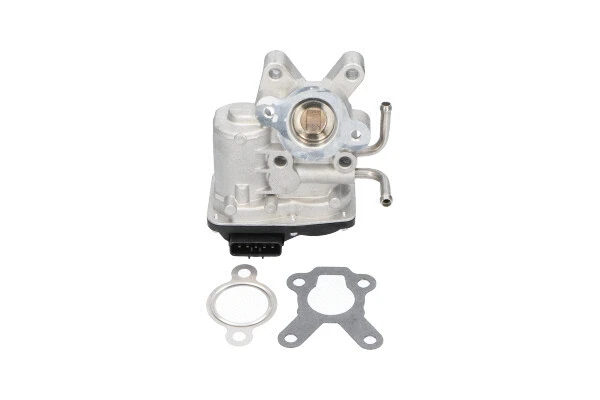 EGR Valve (EEG-8005)