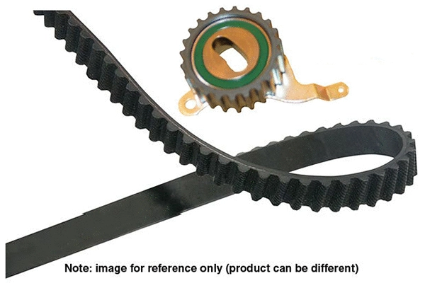 Timing Belt Kit (DKT-8009)