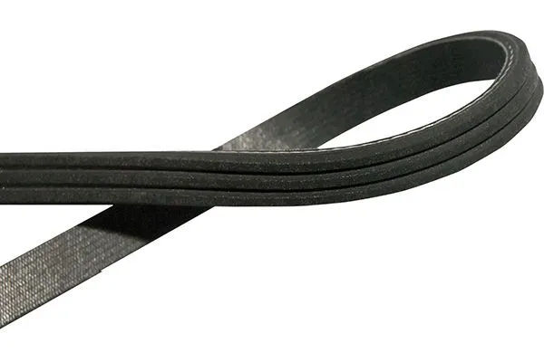 V-Ribbed Belt (DMV-6549)