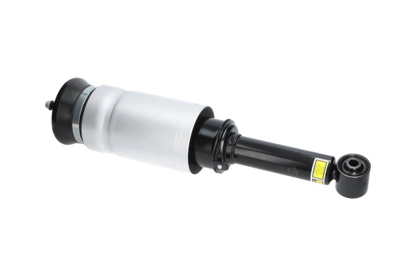 Air Suspension Strut
