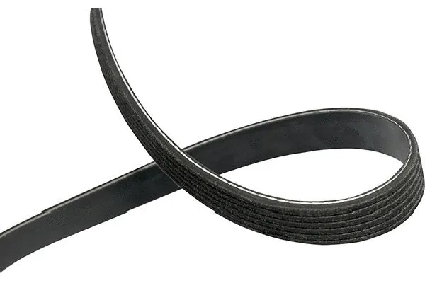 V-Ribbed Belt (DMV-5549)