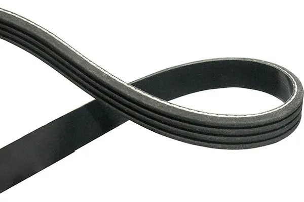 V-Ribbed Belt (DMV-6551)