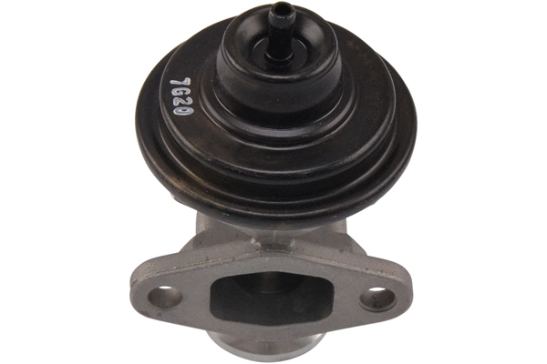 EGR Valve (EEG-1017)