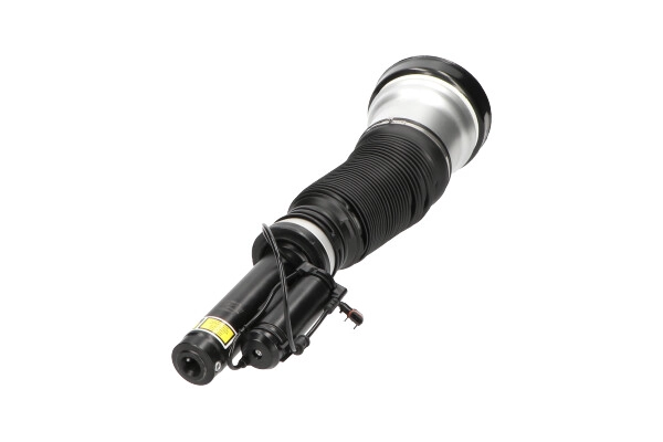 Air Suspension Strut (SAS-10013)