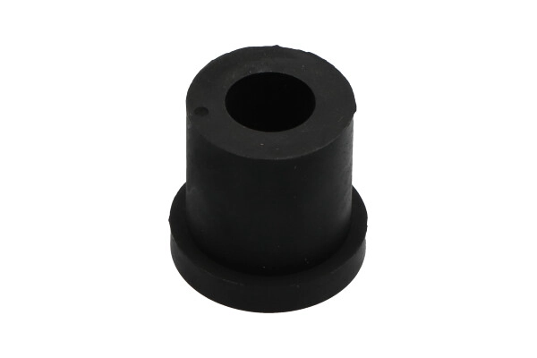 Bushing, leaf spring