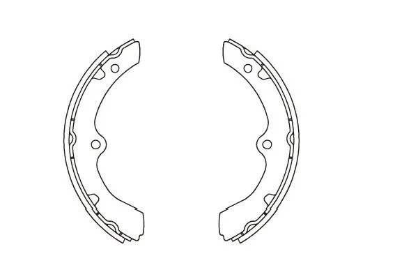 Brake Shoe Set (BS-3921)