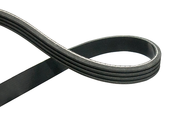 V-Ribbed Belt (DMV-1543)