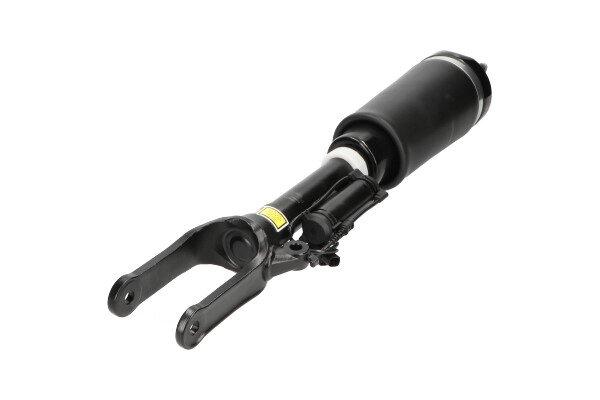 Air Suspension Strut (SAS-10022)