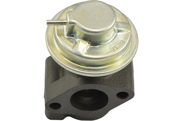 EGR Valve (EEG-3011)