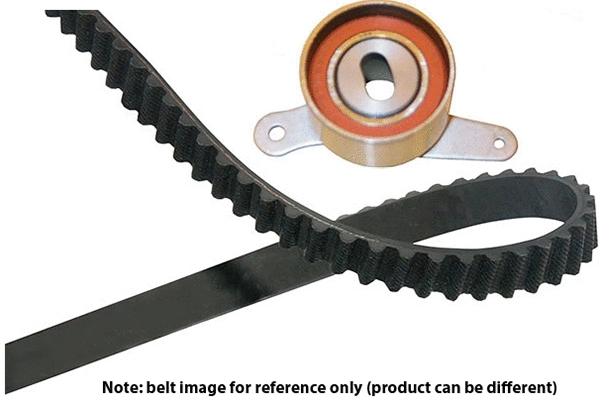 Timing Belt Kit (DKT-2029)