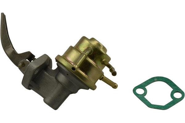 Fuel Pump (EFP-9009)