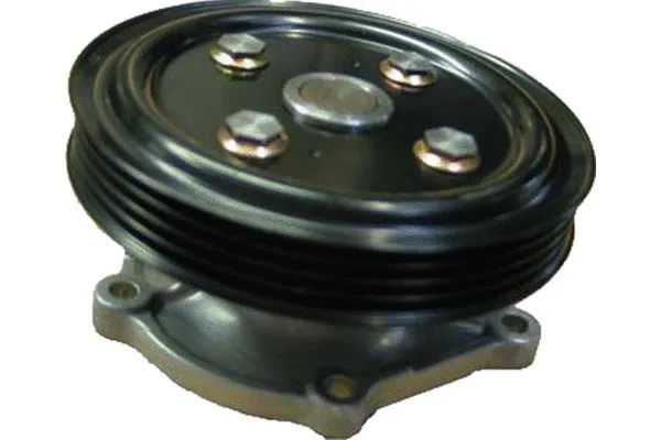 Water Pump, engine cooling (SW-1909)