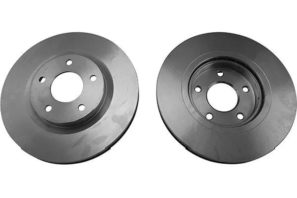 Brake Disc (BR-6795)