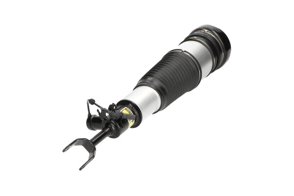 Air Suspension Strut (SAS-10011)